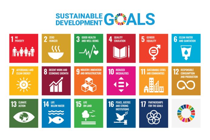 SDG n.4